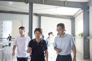 【長田動態(tài)】區(qū)人大常委會副主任楊玉美一行蒞臨易豐農(nóng)業(yè)調(diào)研