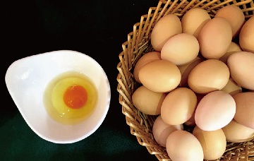 【長田動態(tài)】給家人的每一口蛋，都該有“安心答案”——“長田樂享濟蛋”用“一蛋一碼”破解吃蛋焦慮