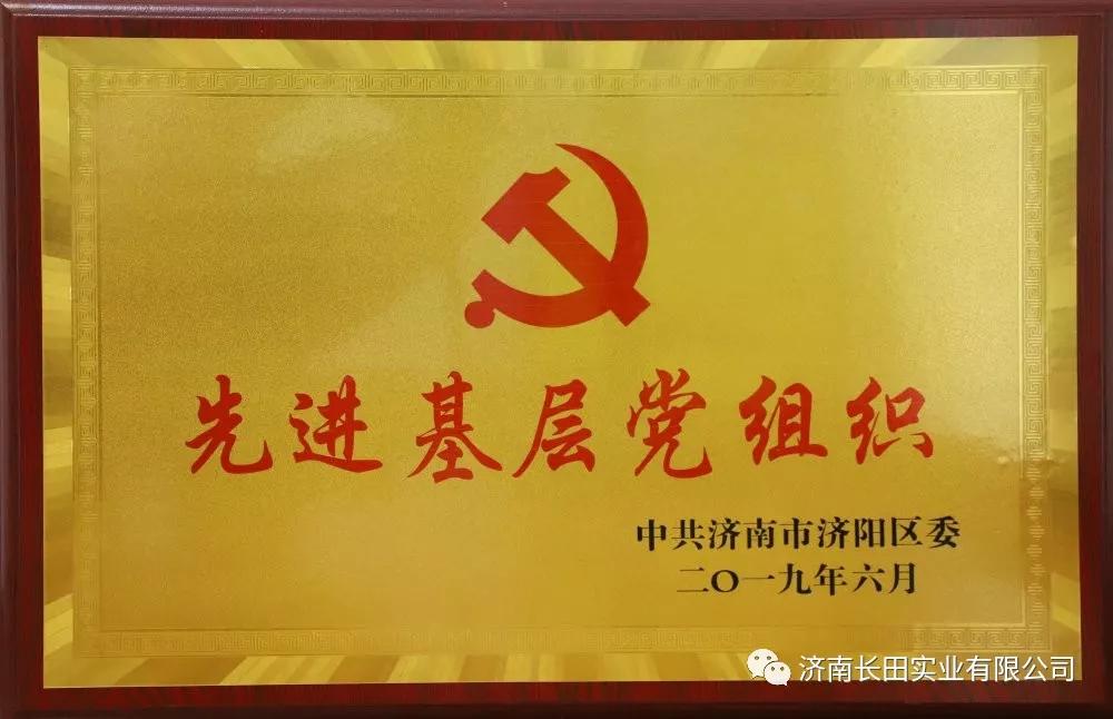 用榮譽向黨獻禮—長田實業(yè)黨支部榮獲“先進基層黨組織”榮譽稱號